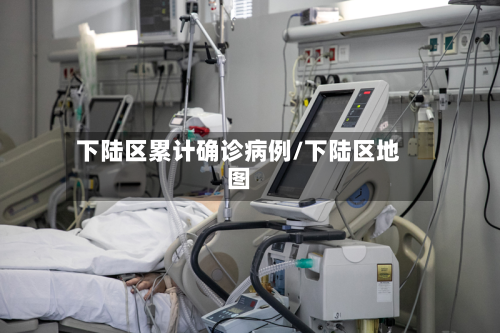 下陆区累计确诊病例/下陆区地图