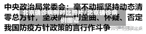 北京确诊病例对比照片/北京确诊病例图谱