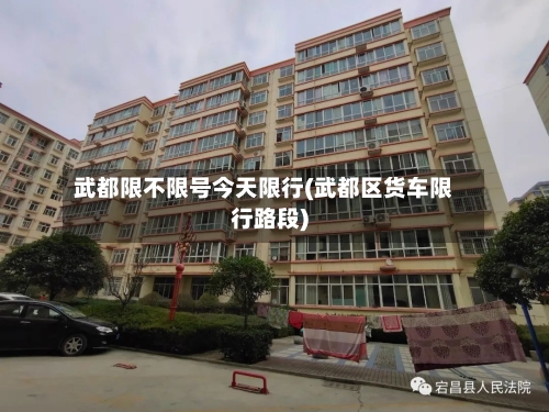 武都限不限号今天限行(武都区货车限行路段)-第2张图片