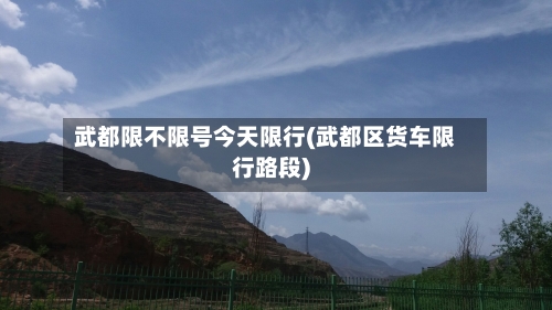 武都限不限号今天限行(武都区货车限行路段)-第1张图片