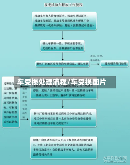 车受损处理流程/车受损图片-第2张图片