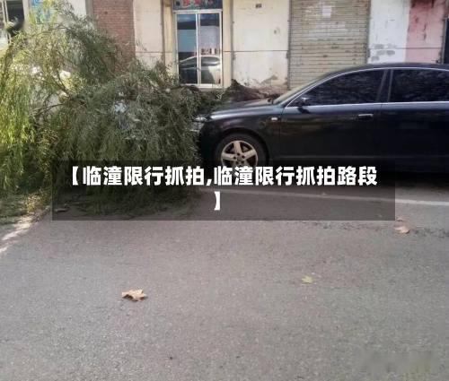 【临潼限行抓拍,临潼限行抓拍路段】-第3张图片