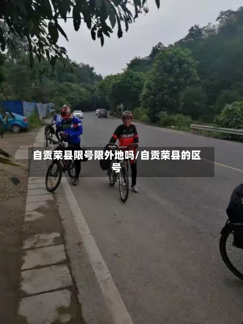自贡荣县限号限外地吗/自贡荣县的区号-第2张图片