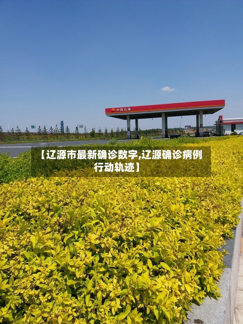 【辽源市最新确诊数字,辽源确诊病例行动轨迹】-第2张图片