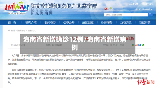 海南省新增确诊12例/海南省新增病例-第3张图片